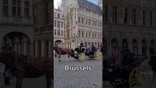 ✨ Discover Brussels with CityGames! 🏛️🦁 #citygames #travel #hiddengems #brussels #belgium