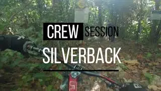 Silverback with Andre