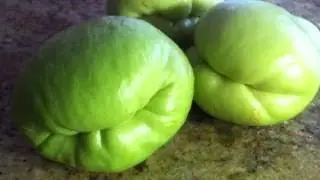 10 Health Benefits of Chayote
