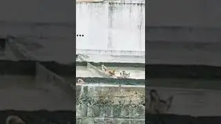 Birds bath&hearts;