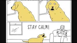 TheyCanTalk.com by Jimmy [he has a book - go get it]