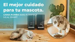 Gama de comederos autom&aacute;ticos para mascotas con wifi, de 6L y control de porciones.