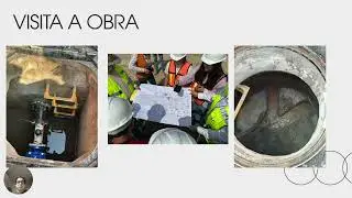 Bit&aacute;cora de observaci&oacute;n y seguimiento social