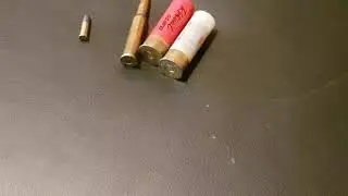 Munitionskunde f&uuml;r die Jagdscheinpr&uuml;fung