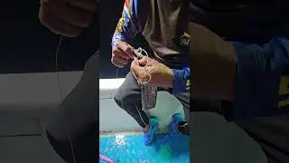 UMPAN IKAN ESCOLAR❗️ #hantulautfishingmanado #fishing #feelalive #mancing