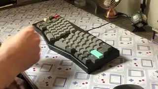 Owlab Spring + Zaku switches typing test