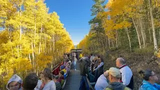 Color Change Train! Amazing leaf peeping in September from Leadville to Climax Colorado with the fam