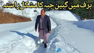 Gabin Jabba Trekking after heavy snow fall | Swat Valley | Pakistan