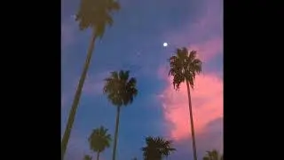 [FREE FOR PROFIT] DB.Bouttabag x Bay Area Type Beat (Prod Syrxn x whosbrando)