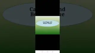 Cartilage and Bones Tissue