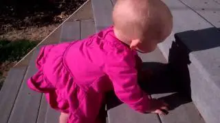 VID00655