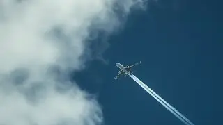 I Look at the Sky and See a Flying Plane | Dreamlike Music & Aviation Moment