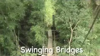 Waihe'e Valley Trail / Swinging Bridges Virtual Maui Guide