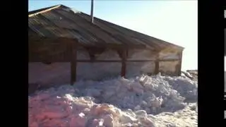 Kent's Antarctica Adventure