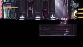 Elun - Purple Drapes (Ledge Warp to Release X)