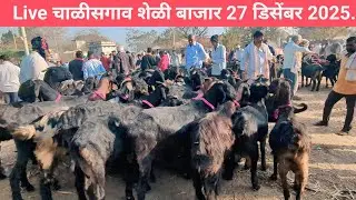 27 डिसेंबर 2025 लाईव्ह शेळी बाजार चाळीसगाव#काठेवाडी शेळ्या#उस्मानाबादी शेळ्या#गावरान शेळ्या बाजार 40