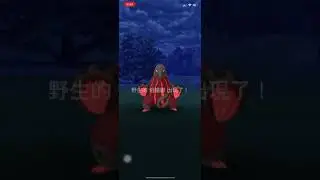 Pok&eacute;mon Go  Shiny 異色 熔蟻獸 クイタラン Heatmor
