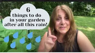 6 Things You Should Do in Your Garden After Too Much Rain!