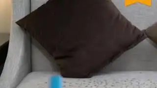 Pet Hair Removal Brush