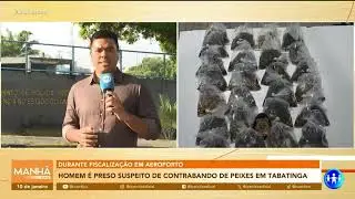 FLAGRANTE | PF prende homem por contrabando de peixes ornamentais em Tabatinga