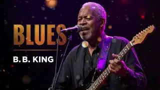 🎶Royal Strings Reborn &ndash; A Soulful Blues Experience 🎤💙