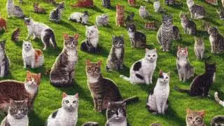 The Cats Remain!
