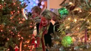 Southern Christmas Show