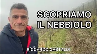 Vite. Scopriamo il Nebbiolo