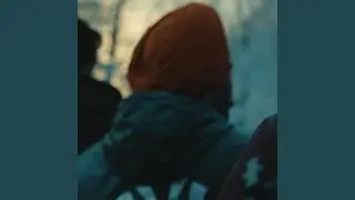 Mele Mitran de