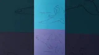 Ancient Sea Life, Mesozoic Ichthyosaurs and Plesiosauroids