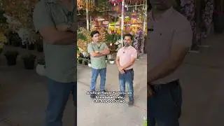 Artificial flower, Factory in Ahmedabad India happy customer, good review feedback #Customerreview