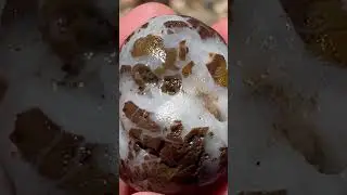 Awesome piece of Jasper. #jasper #beach #quartz