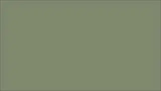 1 Hour Sage #90947D Screen | Background | Backdrop | Screensaver | Meditation | FULL HD