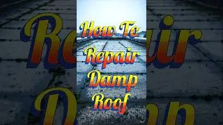 How To Repair Damp Roof_New Roof Waterproofing Technology