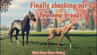 Создание и разведение новых пород лошадей [Rival Stars Horse Racing]