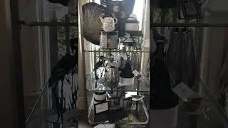 IMG 6485