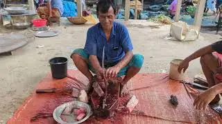 Realistic Fish Cutting ASMR | Ultra Sharp Knife Skills Compilation