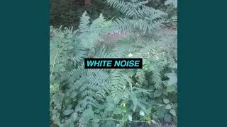 Leaking Water
