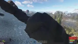 monkey montage
