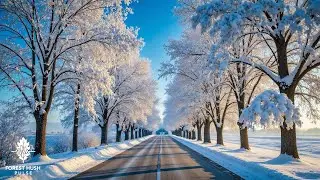 Beautiful Winter Music 2026 ❄️ Anti Stress Music for Relaxation and Mental Recovery