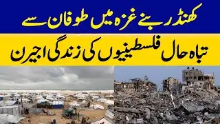Storm-ravaged Palestinians' Lives in Ruins in Gaza | Dawn News