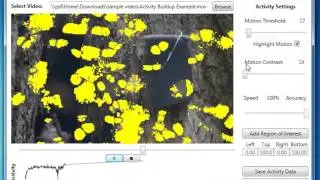 SwarmSight Detecting Movement of a Swarm of Bees