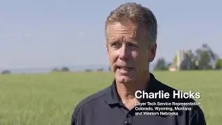 Managing Russian Thistle