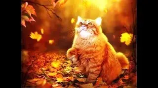 Спасение - Осень красивую осень (The Rescue - Autumn)
