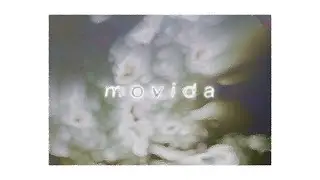 cuadros : movida