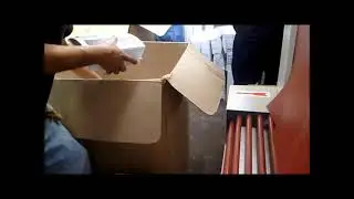 TÚNEL CON SELLADORA EN L AUTOMATICA