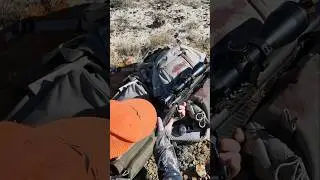 Уэзерби Марк В. Охота на антилоп