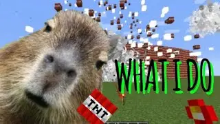 I destroyed a random server  #Minecraft #capybara