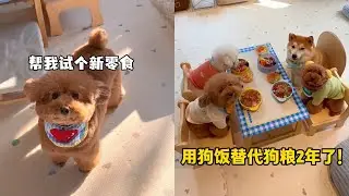 12岁老奶奶的养生秘籍～吃好喝好睡好！#安静的布丁妹妹