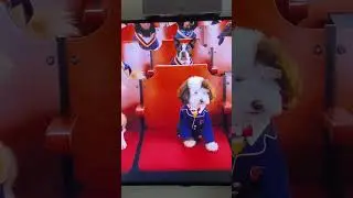 Wyjohymn Psia Akademia Hymn